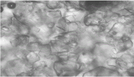 Crystallization process of crystalline fructose