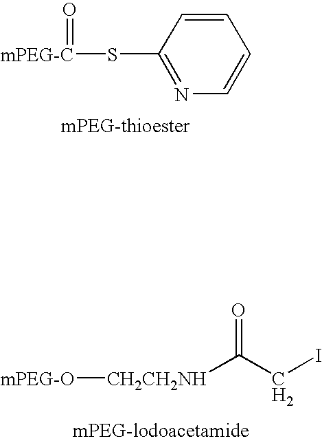 Antagonists of the bradykinin B1 receptor