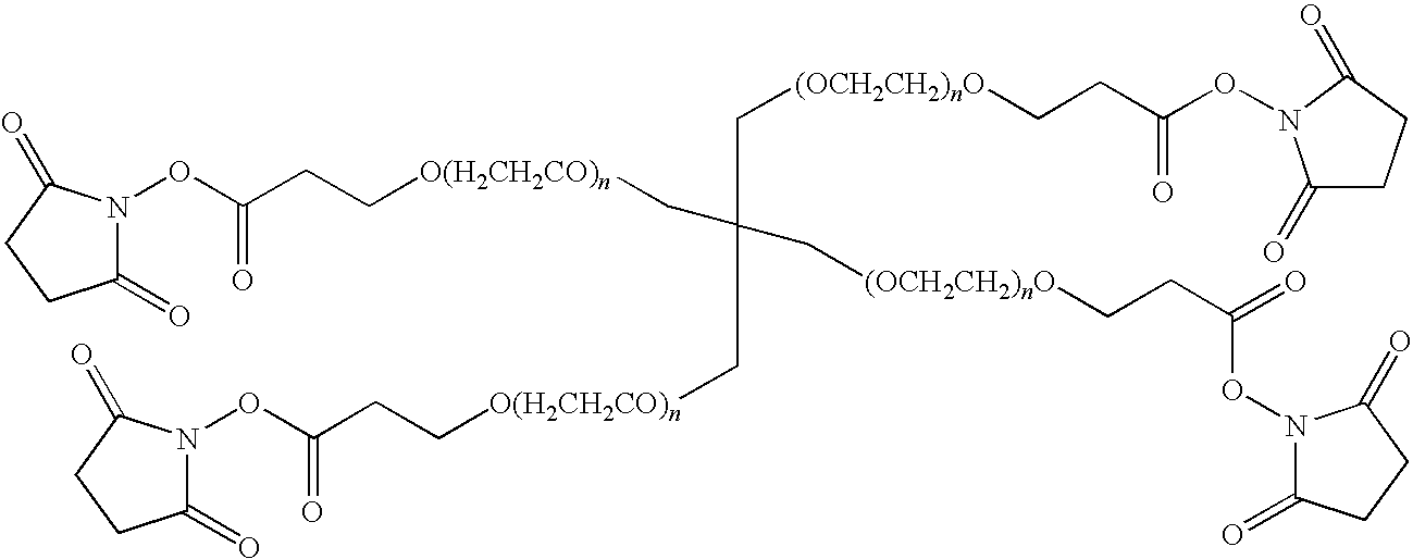 Antagonists of the bradykinin B1 receptor