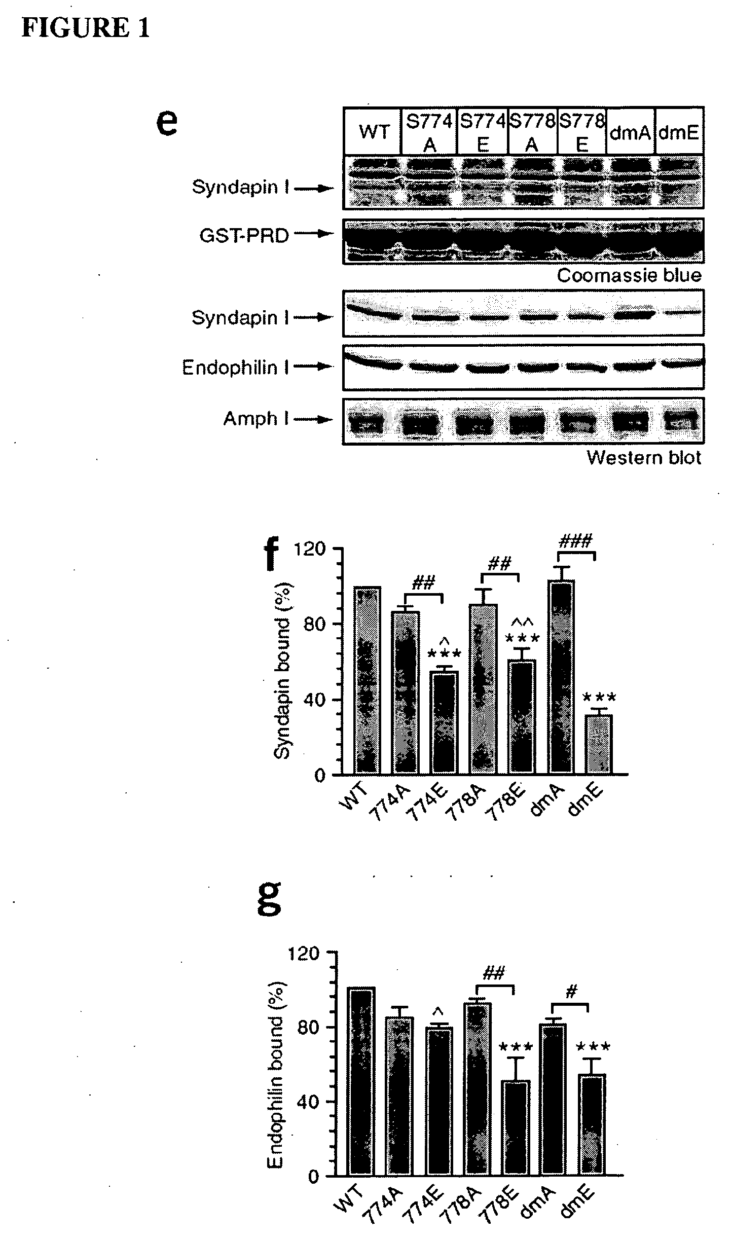 Agents for prophylaxis or treatment of neurological related diseases and conditions