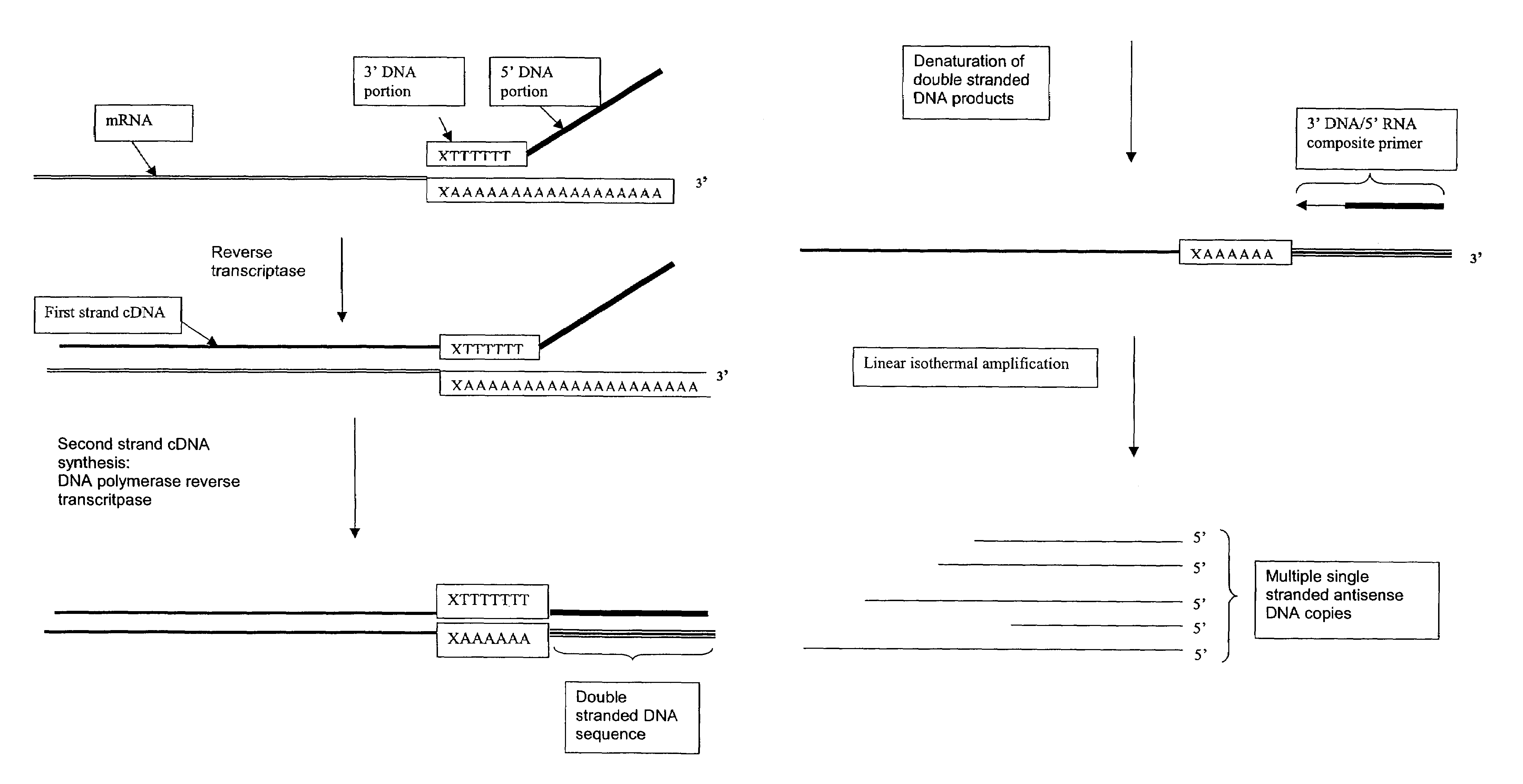 Amplification of RNA sequences using composite RNA-DNA primers and strand displacement