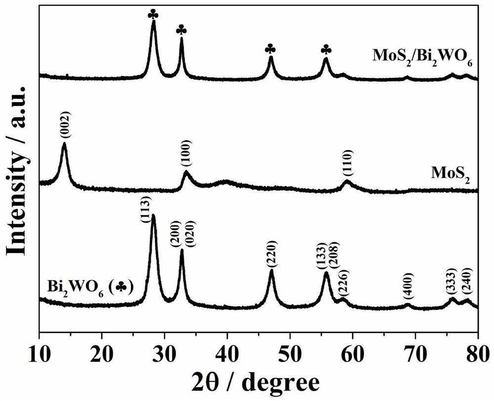 Z type heterojunction MoS2/Bi2WO6 composite photocatalyst as well as preparation method and application thereof