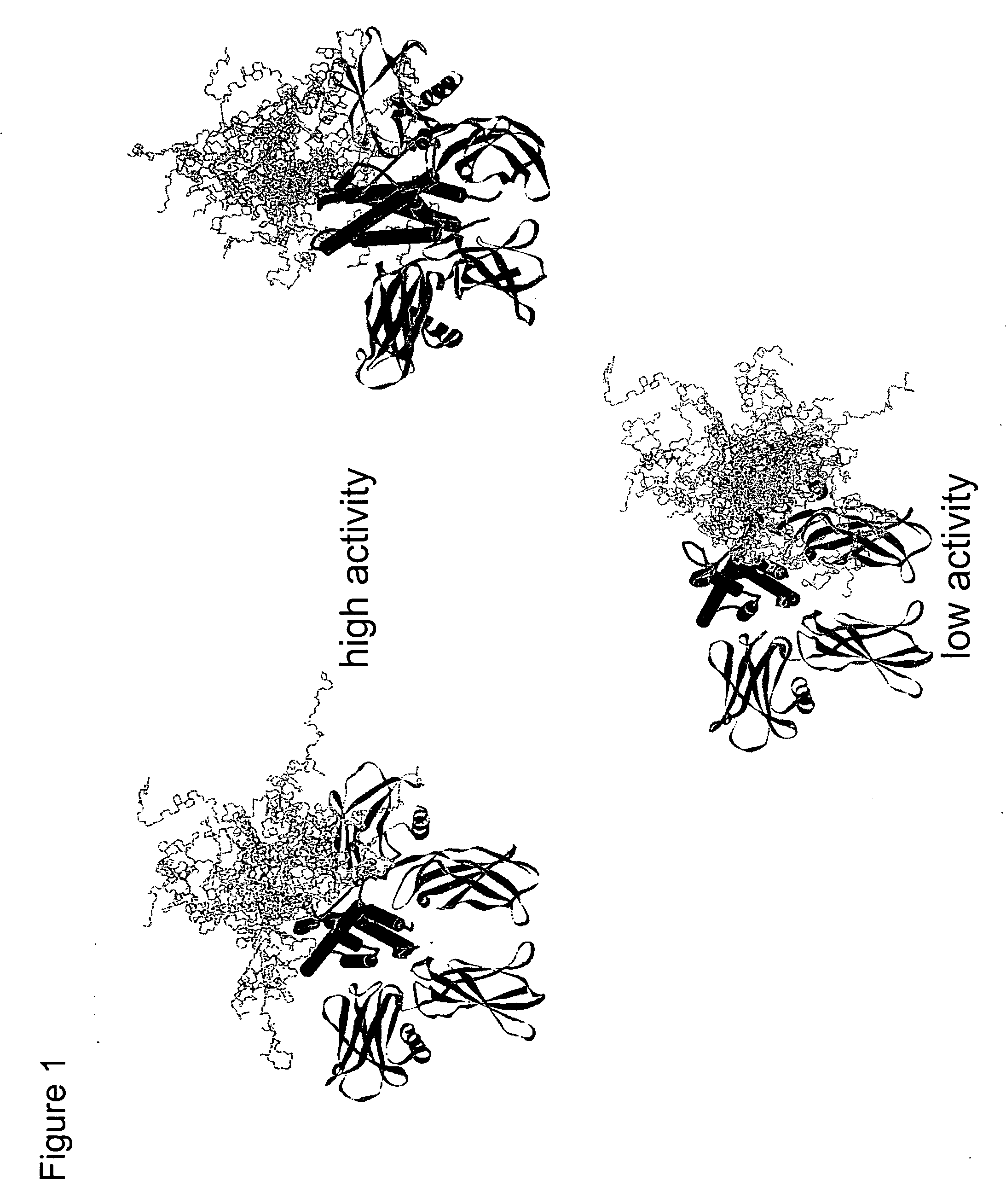 Methods for rational pegylation of proteins