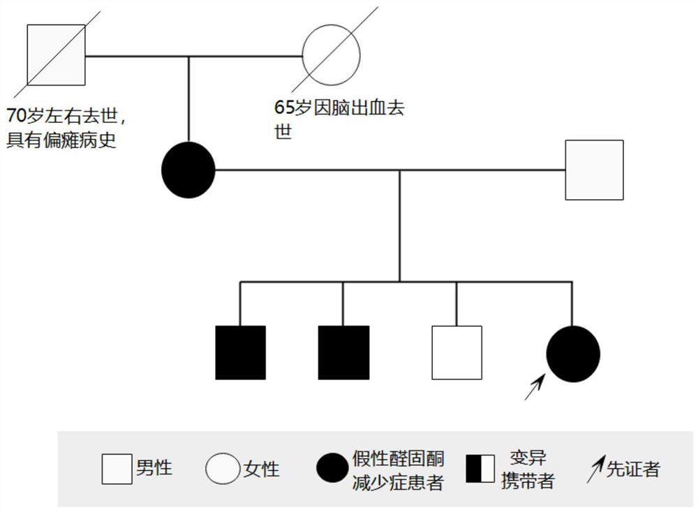 Mutated genes associated with rare genetic diseases and their applications