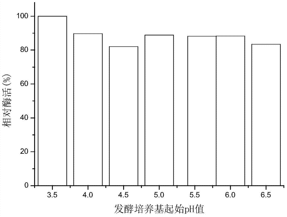 Aspergillus niger for largely producing xylanase and application thereof