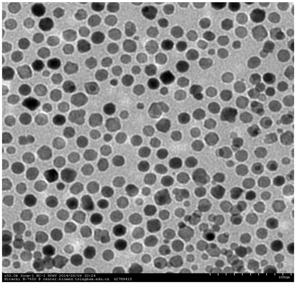 Superparamagnetism nanoparticles, preparation method therefor and applications