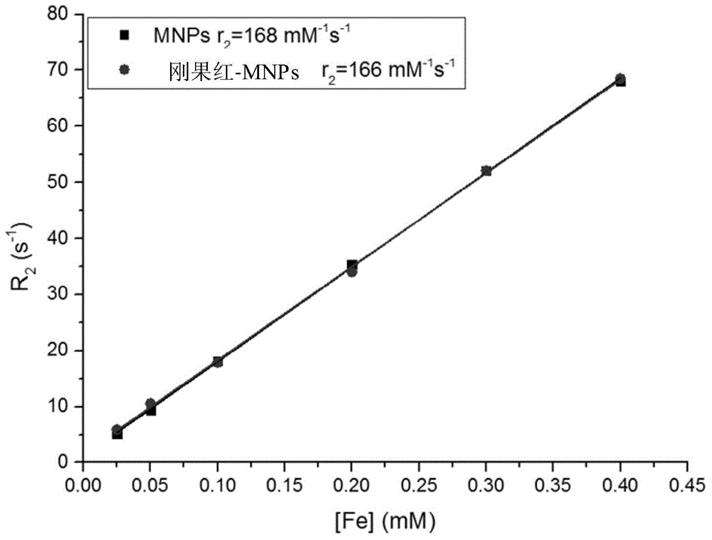 Superparamagnetism nanoparticles, preparation method therefor and applications