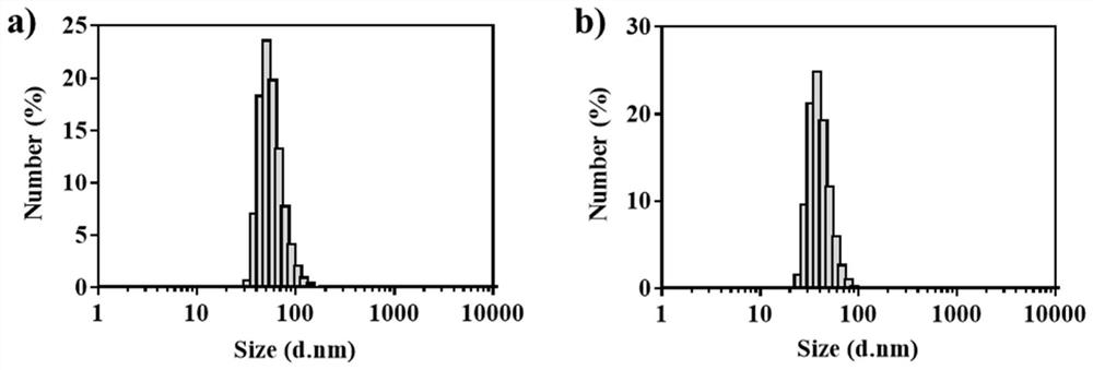A kind of amphotericin b albumin nano-preparation and its preparation method and application