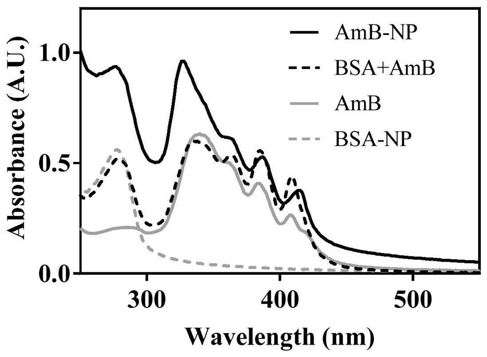 A kind of amphotericin b albumin nano-preparation and its preparation method and application