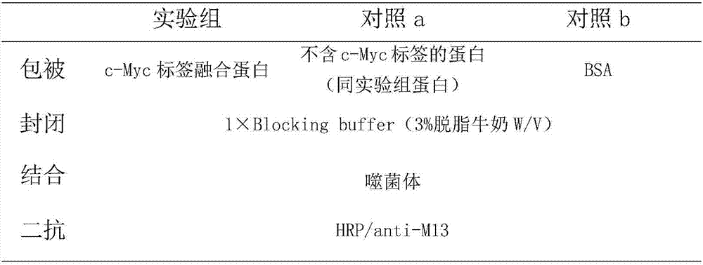 Anti-c-Myc label single domain heavy chain antibody
