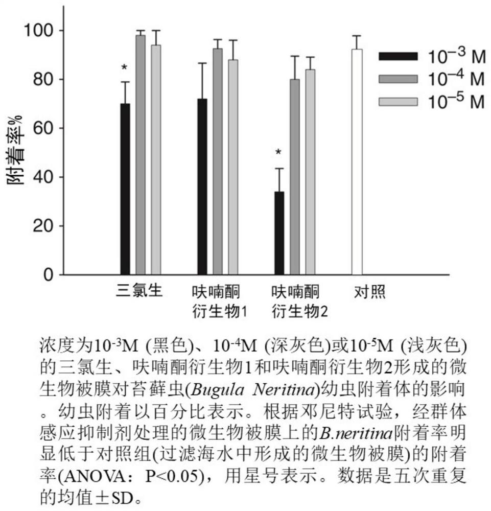 Application of 2 (5H)-furanone in inhibition of marine bacterial microbial coating formation in reduction of juvenile mytilus coruscus adhesion
