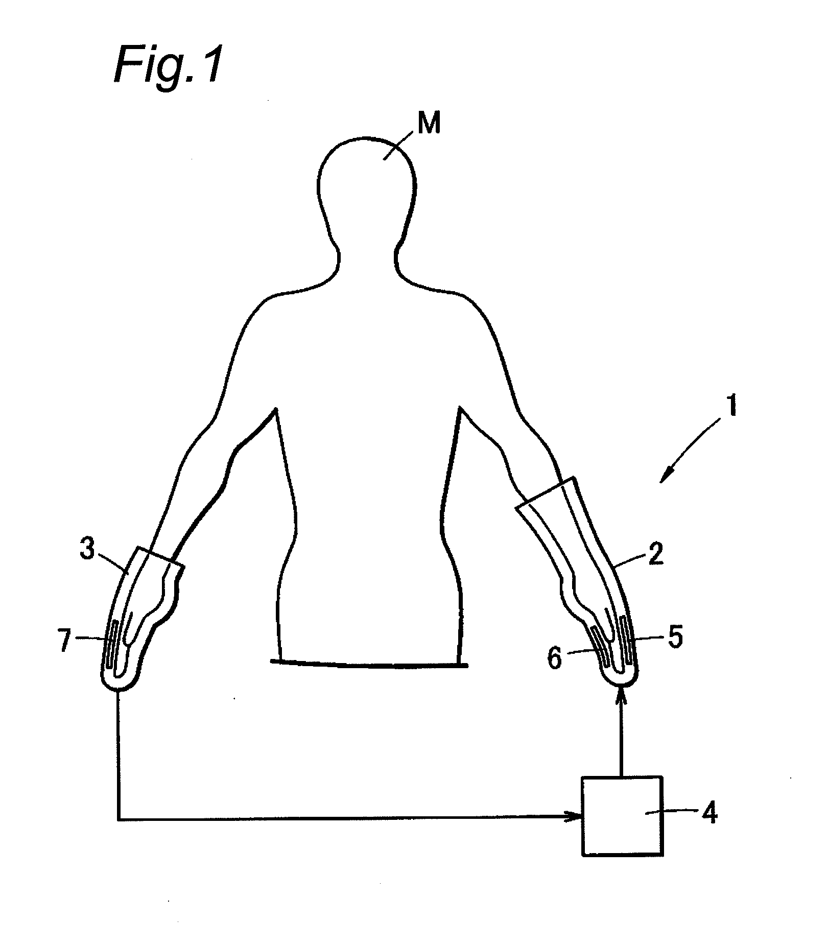 Motion assist apparatus