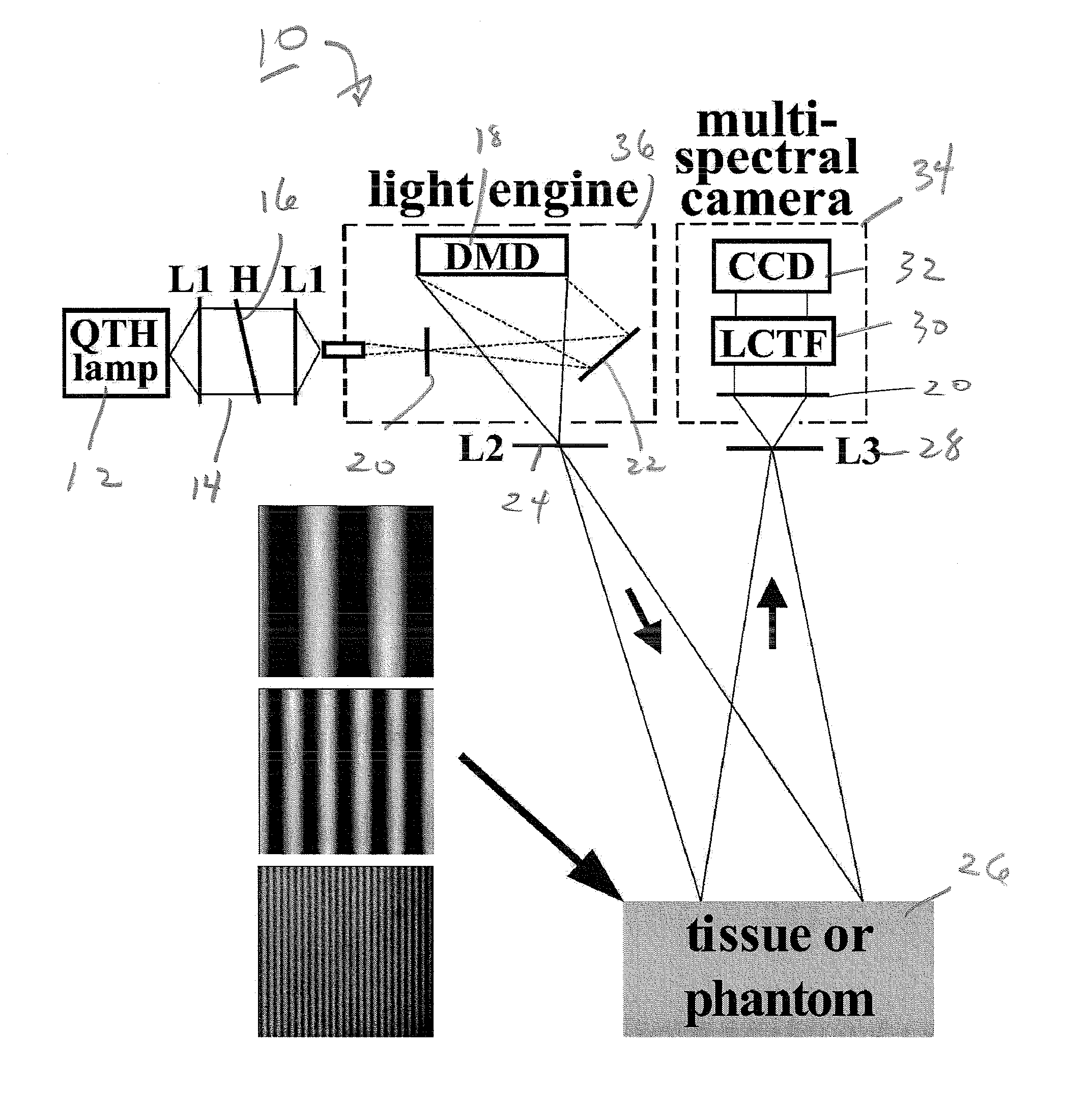 Method and apparatus for performing qualitative and quantitative analysis of produce (fruit, vegetables) using spatially structured illumination