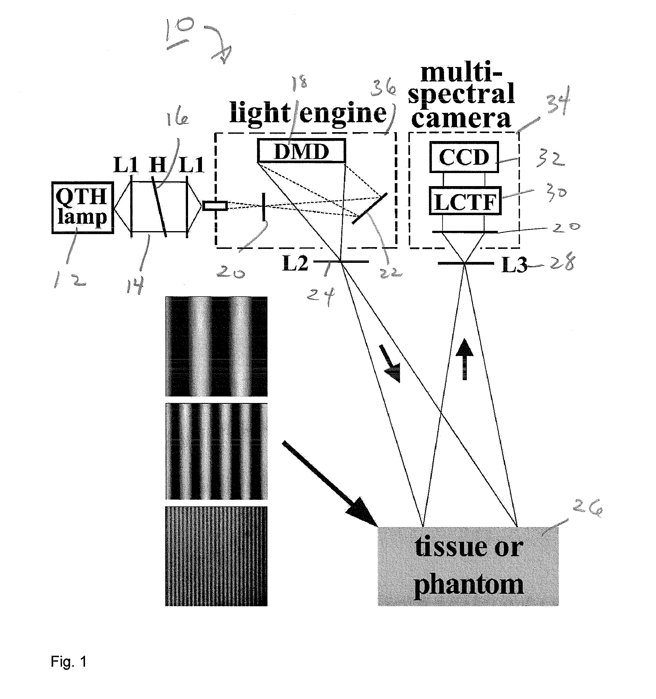 Method and apparatus for performing qualitative and quantitative analysis of produce (fruit, vegetables) using spatially structured illumination