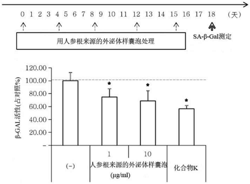 Antiaging composition comprising exosome-like vesicles derived from ginseng