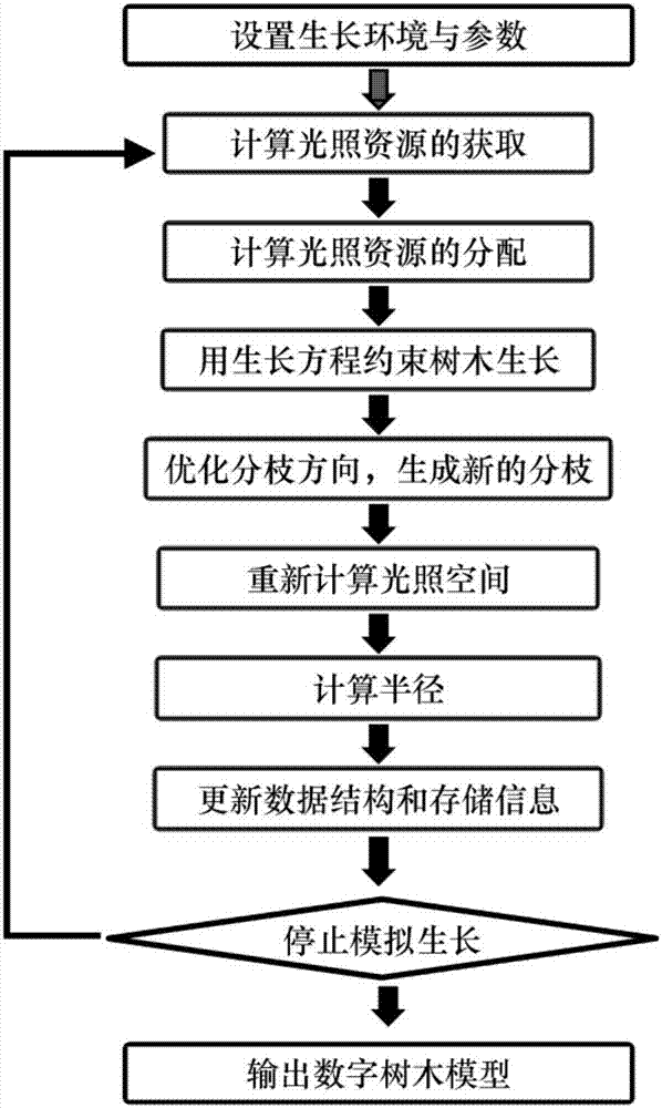 Three-dimensional digital tree growth modeling method based on joint constraining of illumination and growth equations