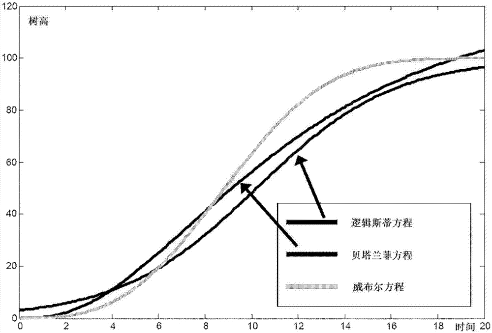 Three-dimensional digital tree growth modeling method based on joint constraining of illumination and growth equations