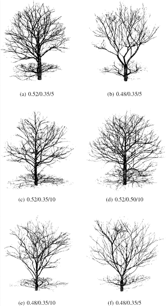 Three-dimensional digital tree growth modeling method based on joint constraining of illumination and growth equations