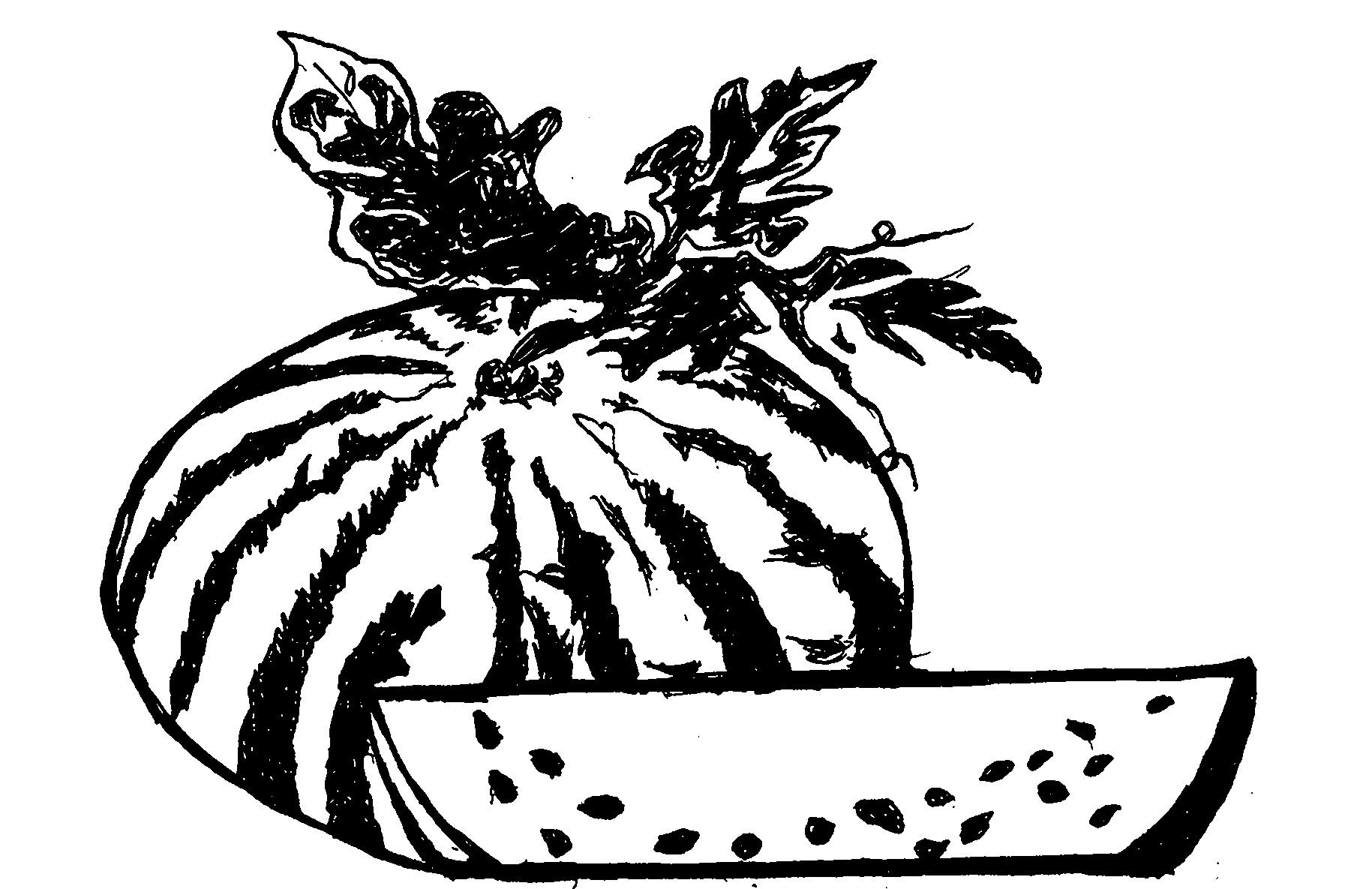 Technology and method for cultivating organic water melons
