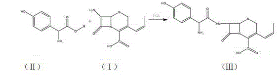 Catalytic synthesis of cefprozil by immobilized penicillin acylase in a reusable two-phase aqueous system