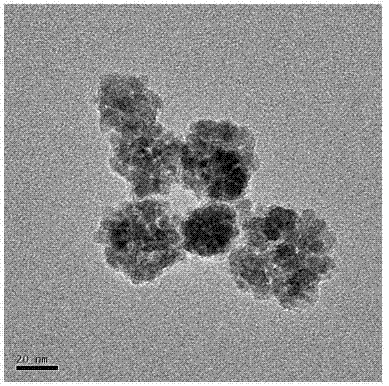 Hydrothermal preparation method for carbon cladded nanometer ferriferrous oxide particles