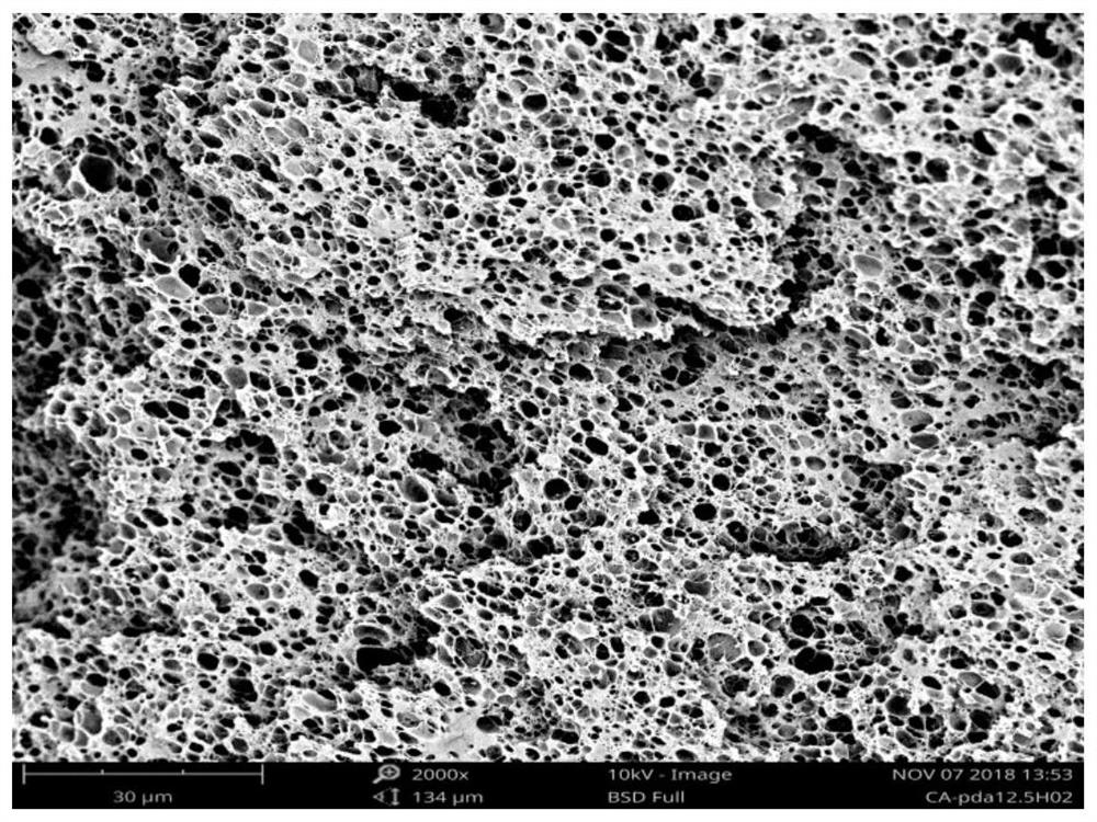 Integrated broadband high-wave-transmissivity tough polyolefin microporous foam material and preparation method thereof