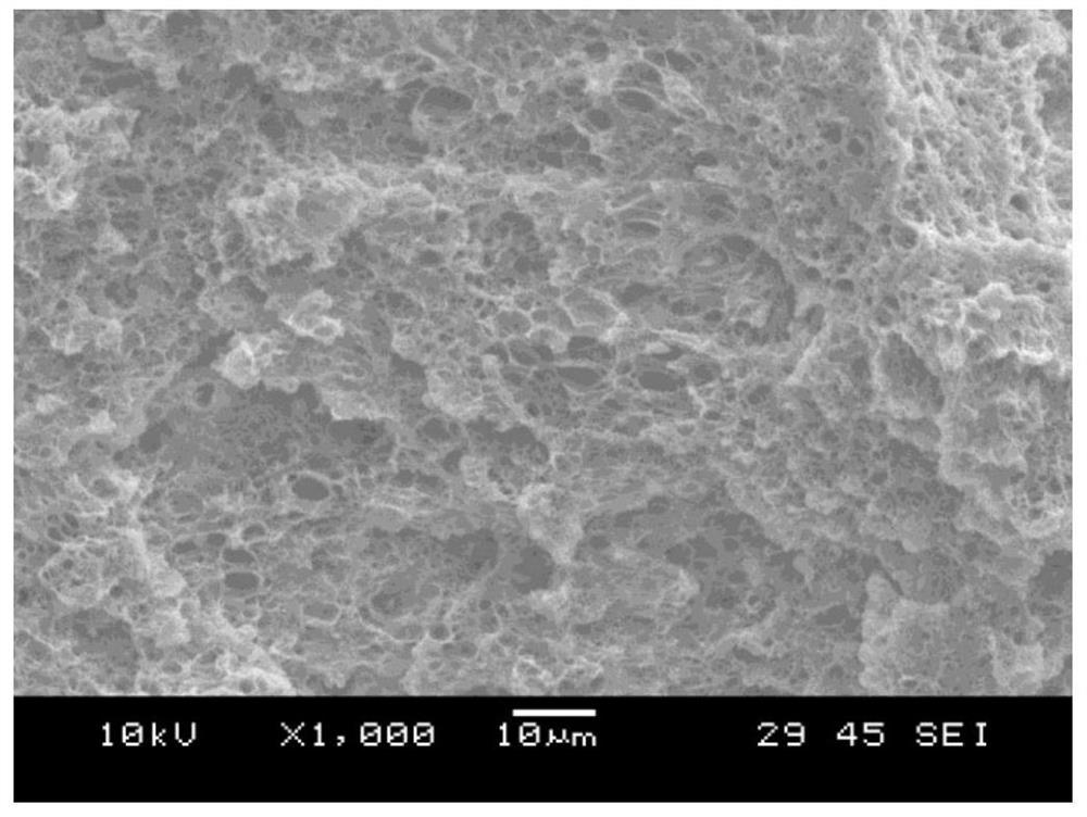 Integrated broadband high-wave-transmissivity tough polyolefin microporous foam material and preparation method thereof