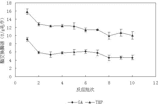 Preparation method of immobilized lipase with purified cotton towel as carrier