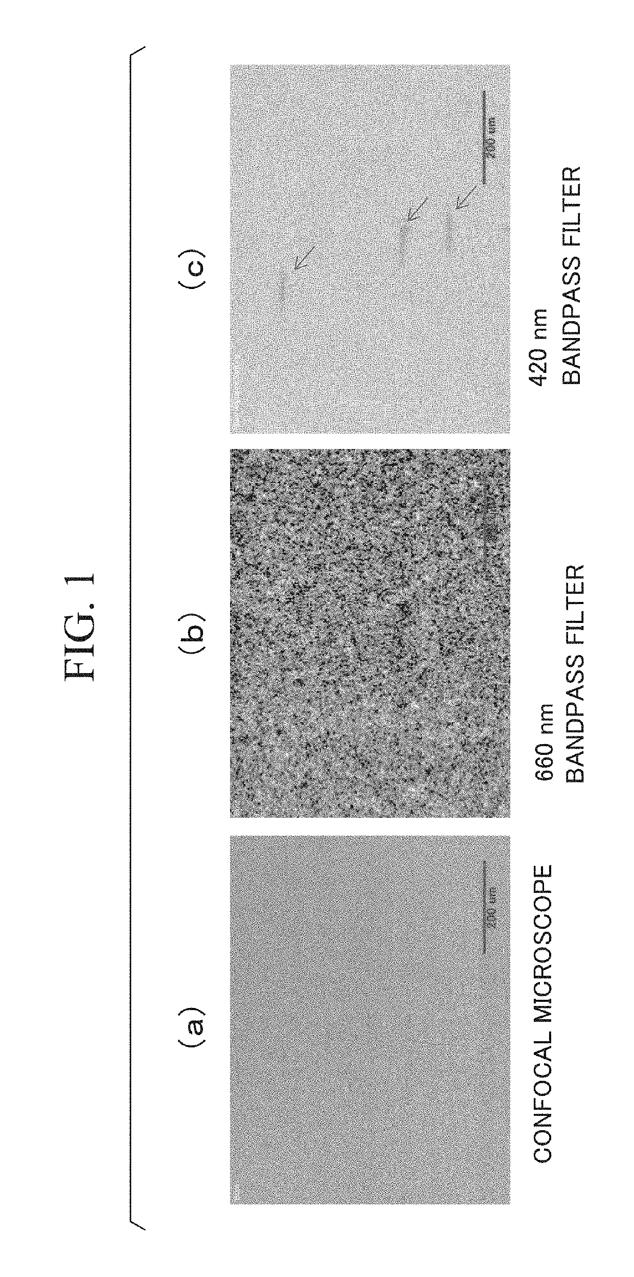 EVALUATION METHOD AND MANUFACTURING METHOD OF SiC EPITAXIAL WAFER