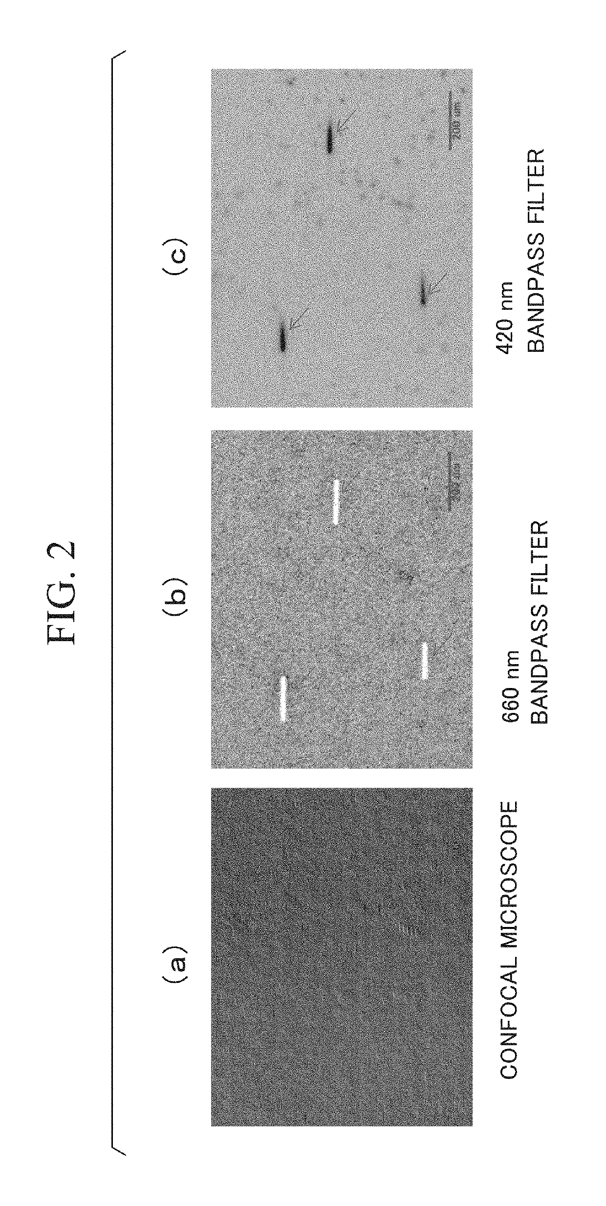 EVALUATION METHOD AND MANUFACTURING METHOD OF SiC EPITAXIAL WAFER