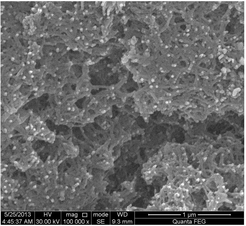 Method for preparing copper selenide nanowires by microwave-assisted method