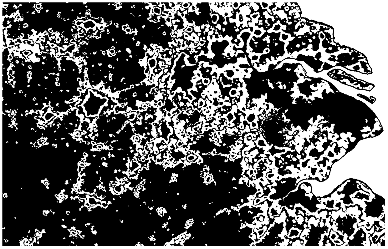 City rapid extraction method and device