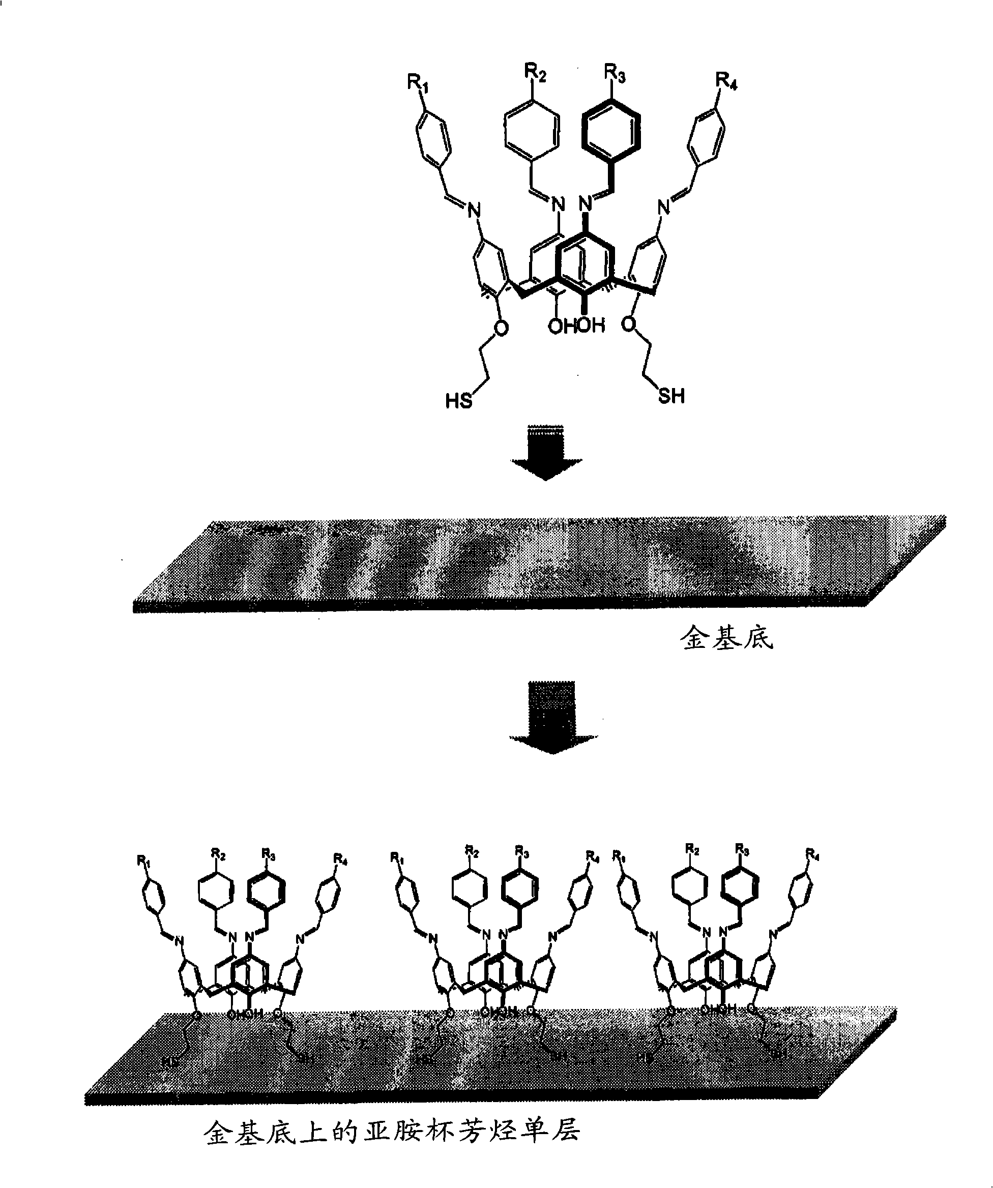 Novel iminecalixarene derivatives and aminocalixarene derivatives, method of preparation thereof, and self-assembled monolayer prepared by the method, fixing method of oligo-dna by using the self-asse