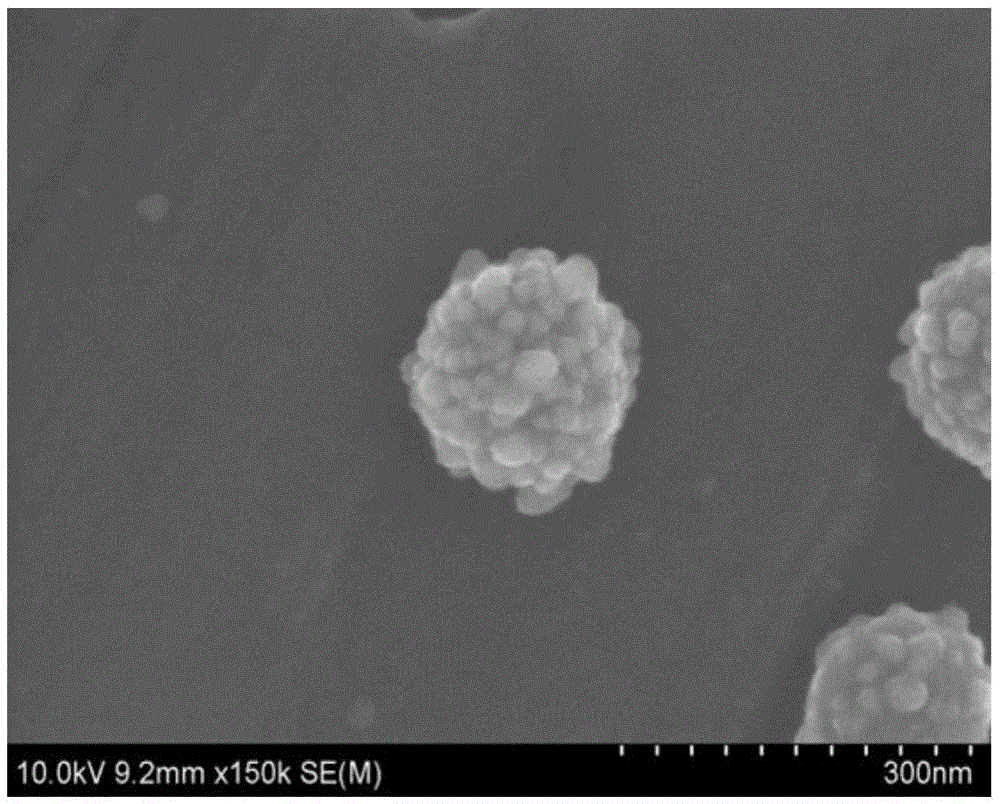 Precious metal core-shell structure nanoparticle as well as preparation and application thereof