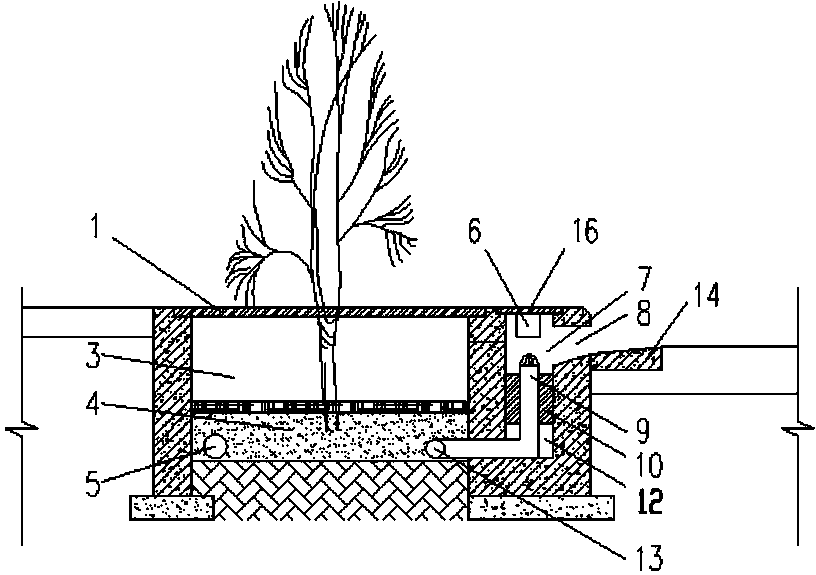 Tree pool and method for filtering runoff rainwater through tree pool