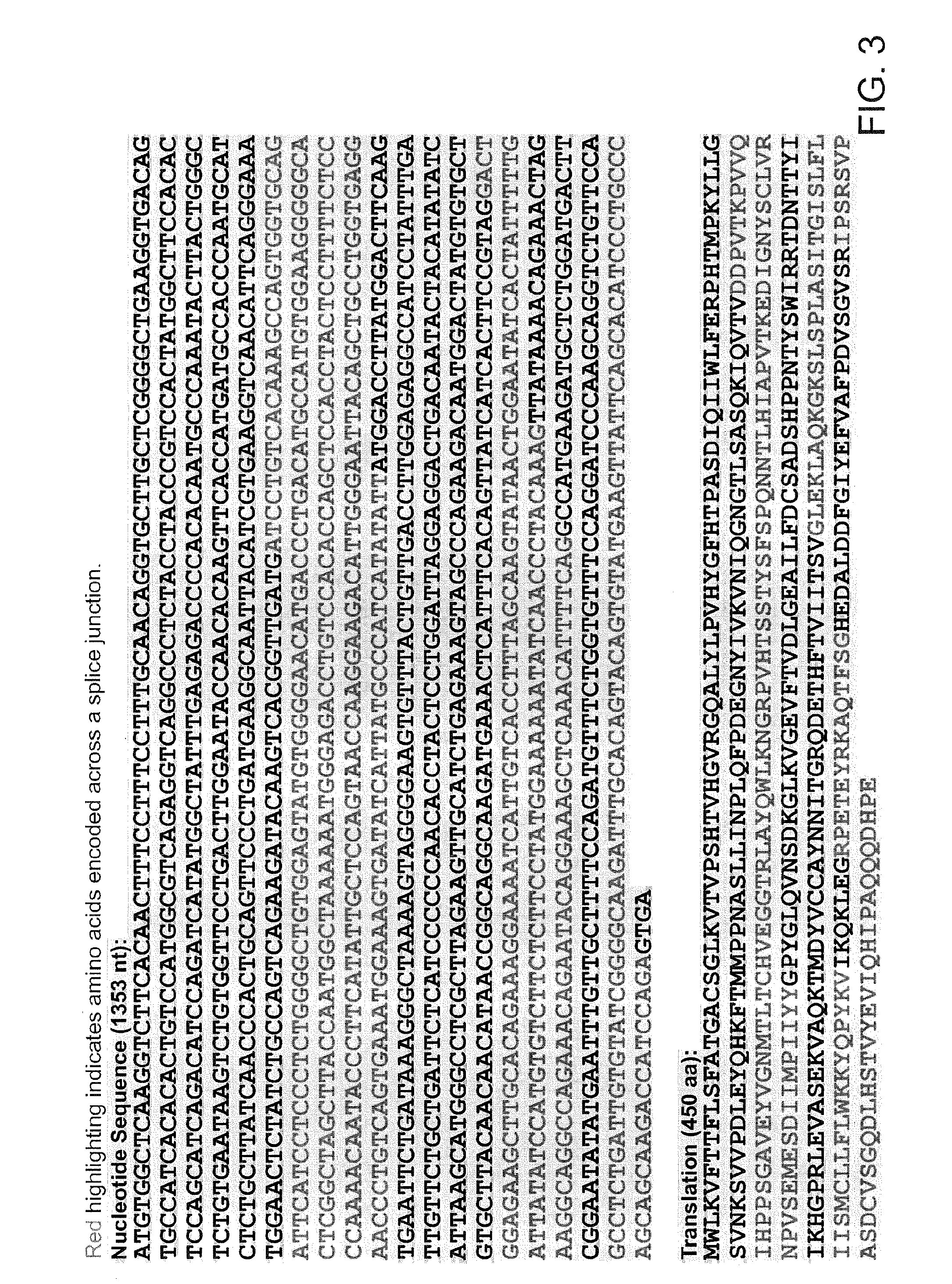 Method For Detecting And Purifying Pancreatic Beta Cells