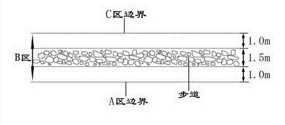 Configuration method of river bank forest belt beneficial to river ecological landscape protection and prayer flag suspension