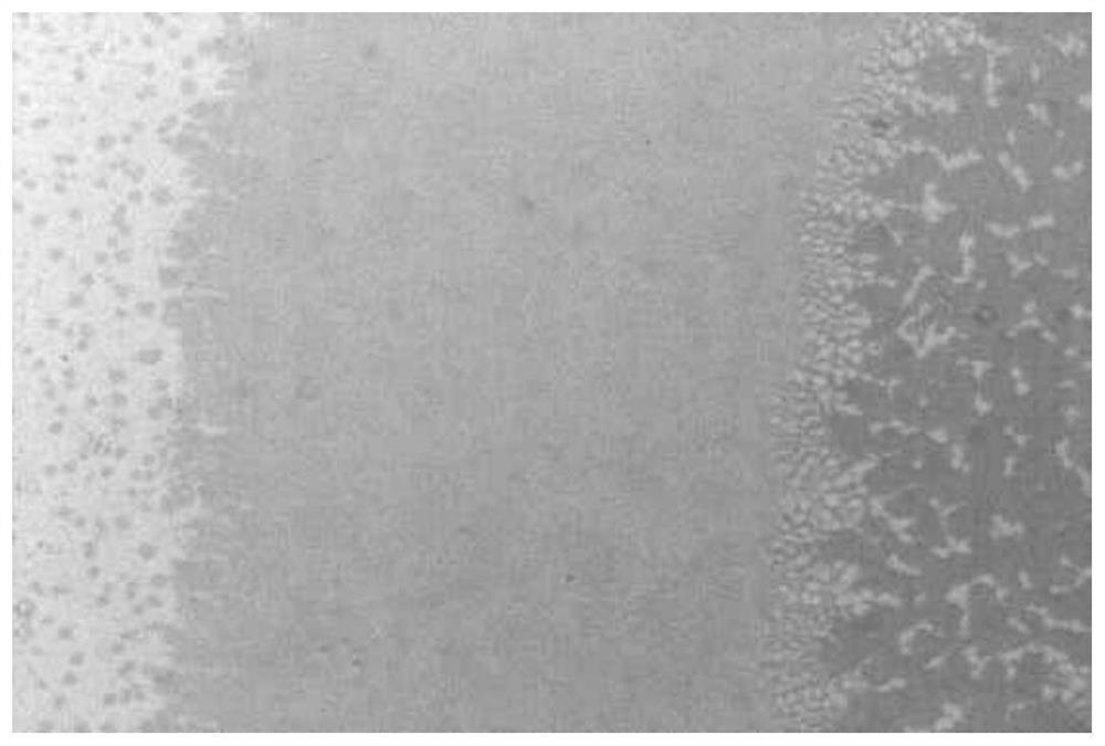 Method for preparing large-area two-dimensional organic semiconductor crystalline film through two-step method