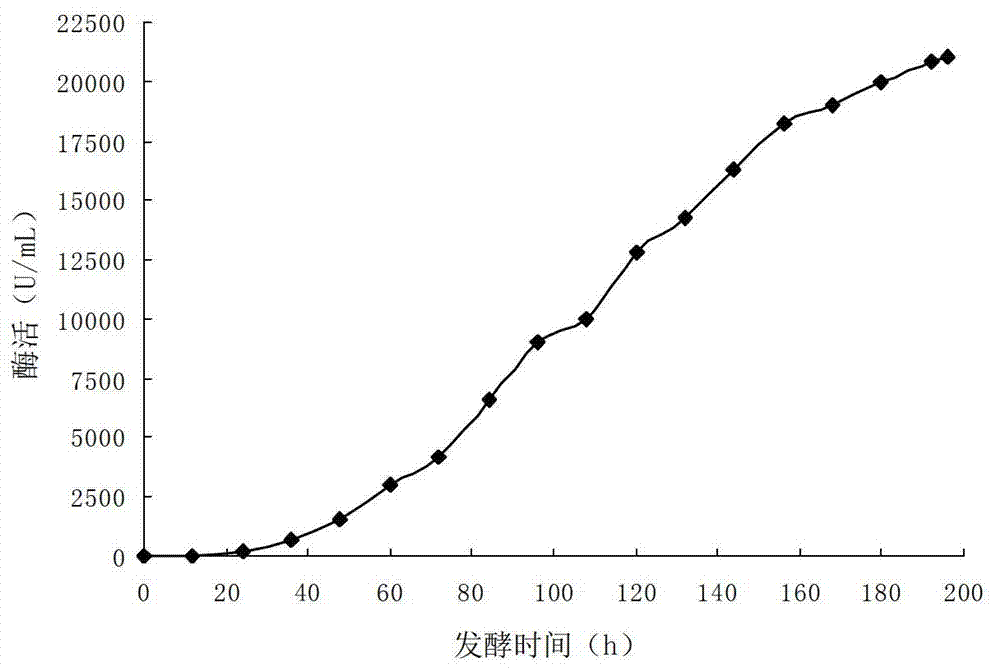 Keratinase, and coding gene and application thereof