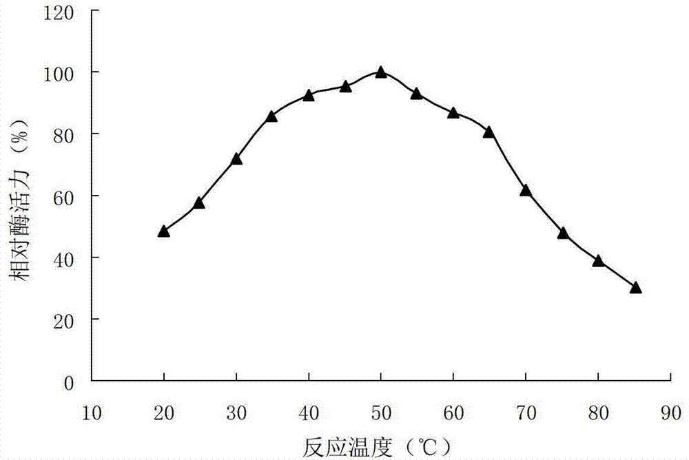 Keratinase, and coding gene and application thereof