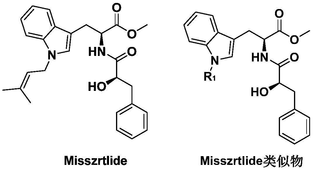 A kind of synthetic method of active alkaloid misszrtlide