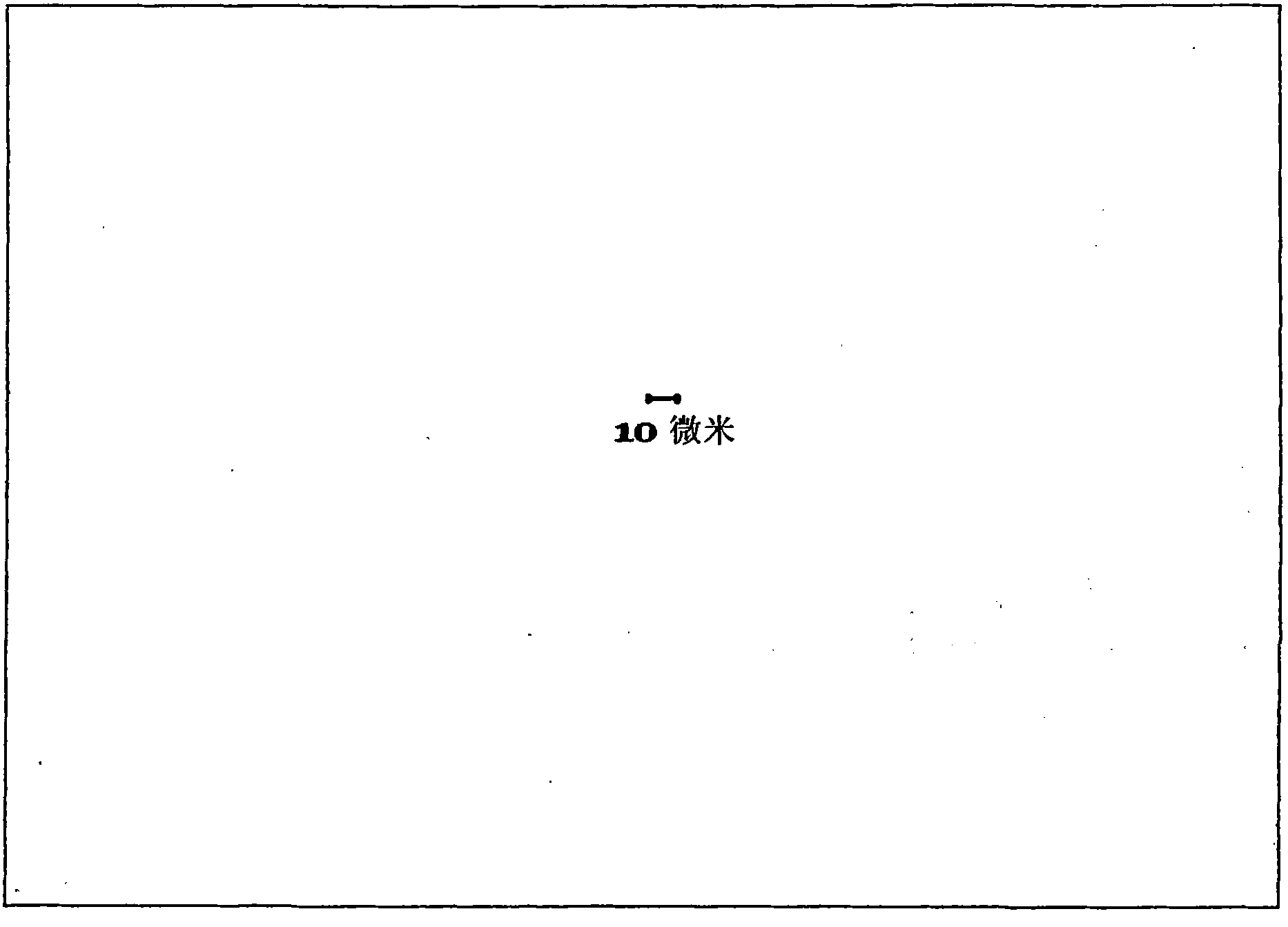 Method of producing purified rebaudioside a compositions using solvent/antisolvent crystallization