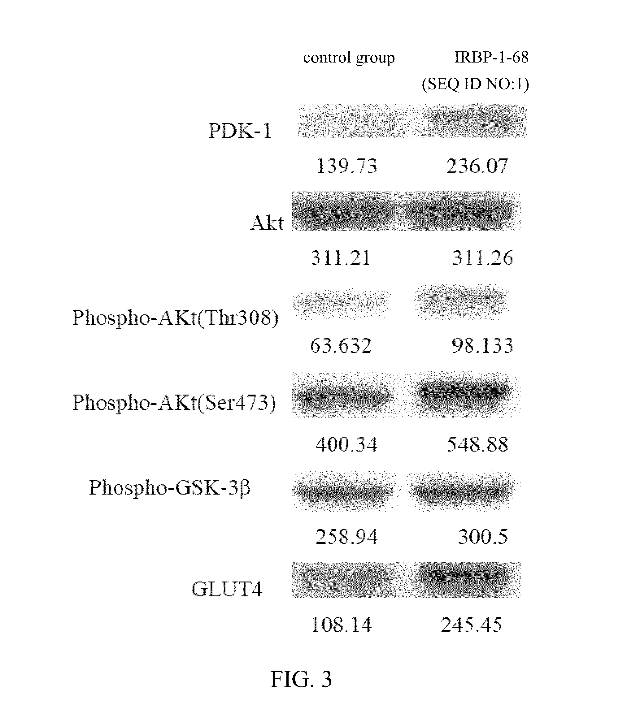 Polypeptides, nucleic acid molecule encoding polypeptides, and uses of polypeptides