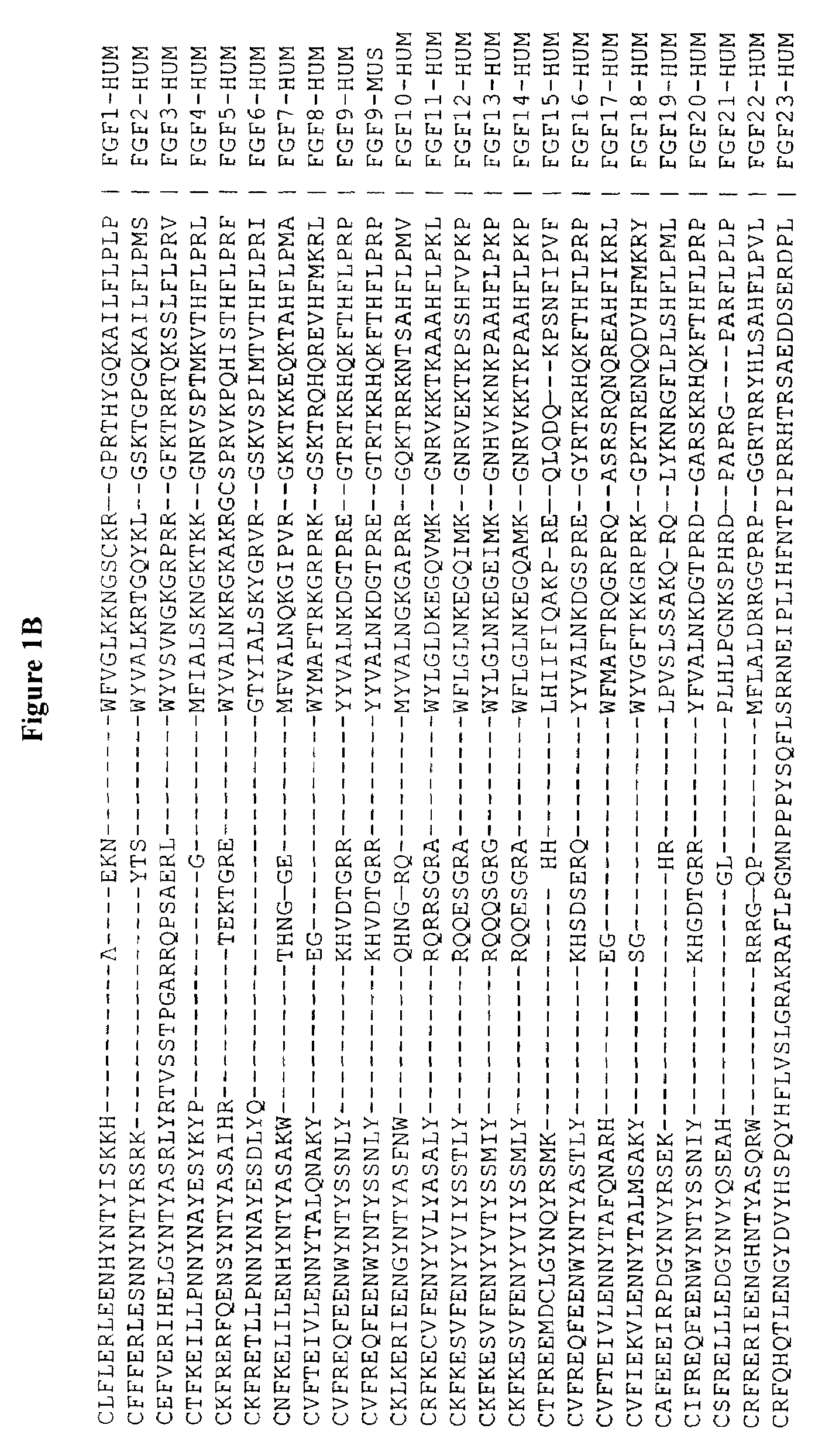 Active variants of FGF with improved specificity