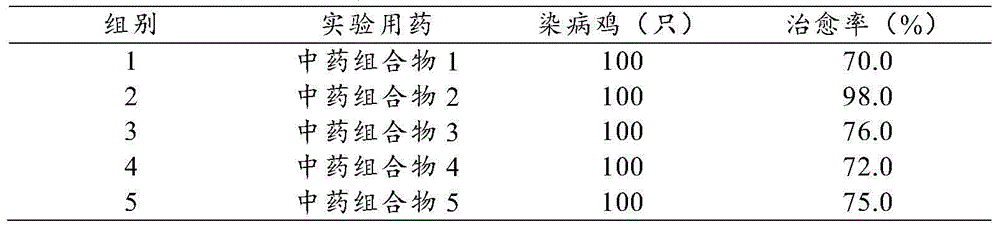 Traditional Chinese medicine composition for treating chicken coccidiosis and preparation method thereof