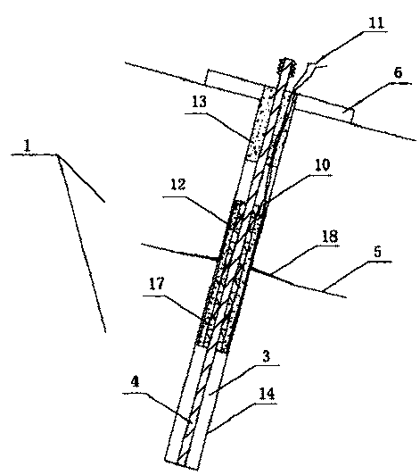 Olive-shaped anti-slip key grouted anchoring supporting blasting anchor rod