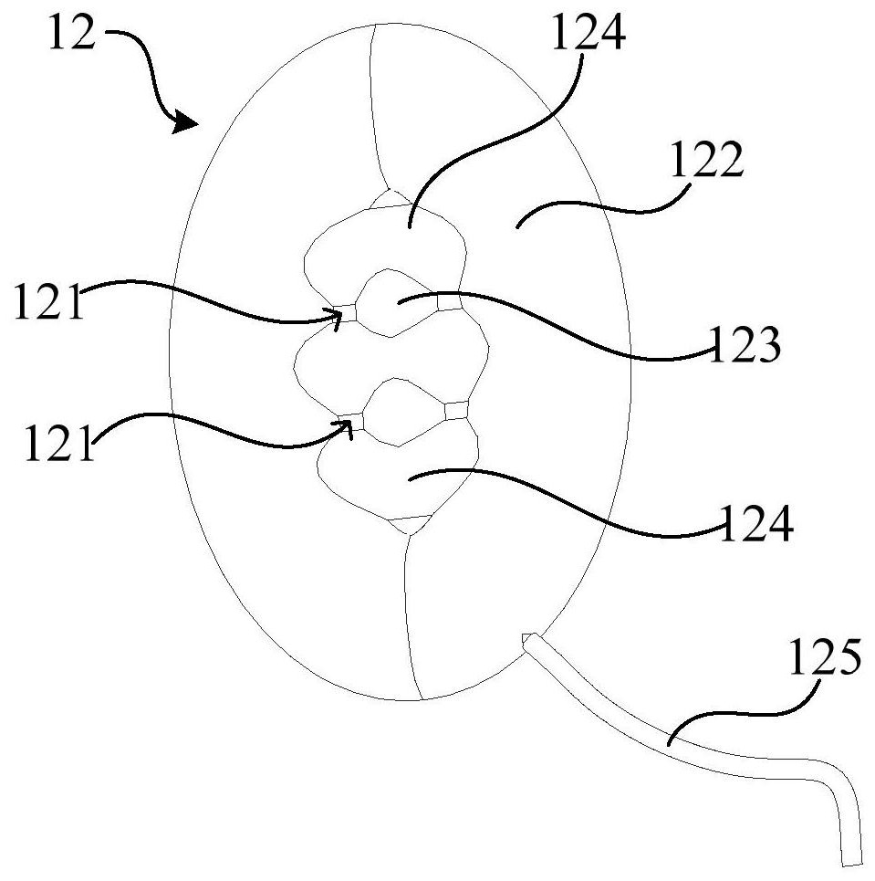 Isolated organ perfusion system and liver storage device