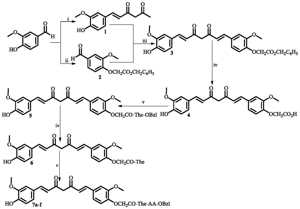 Theanyl amino acid benzyl ester modified curcumin, its synthesis, activity and application