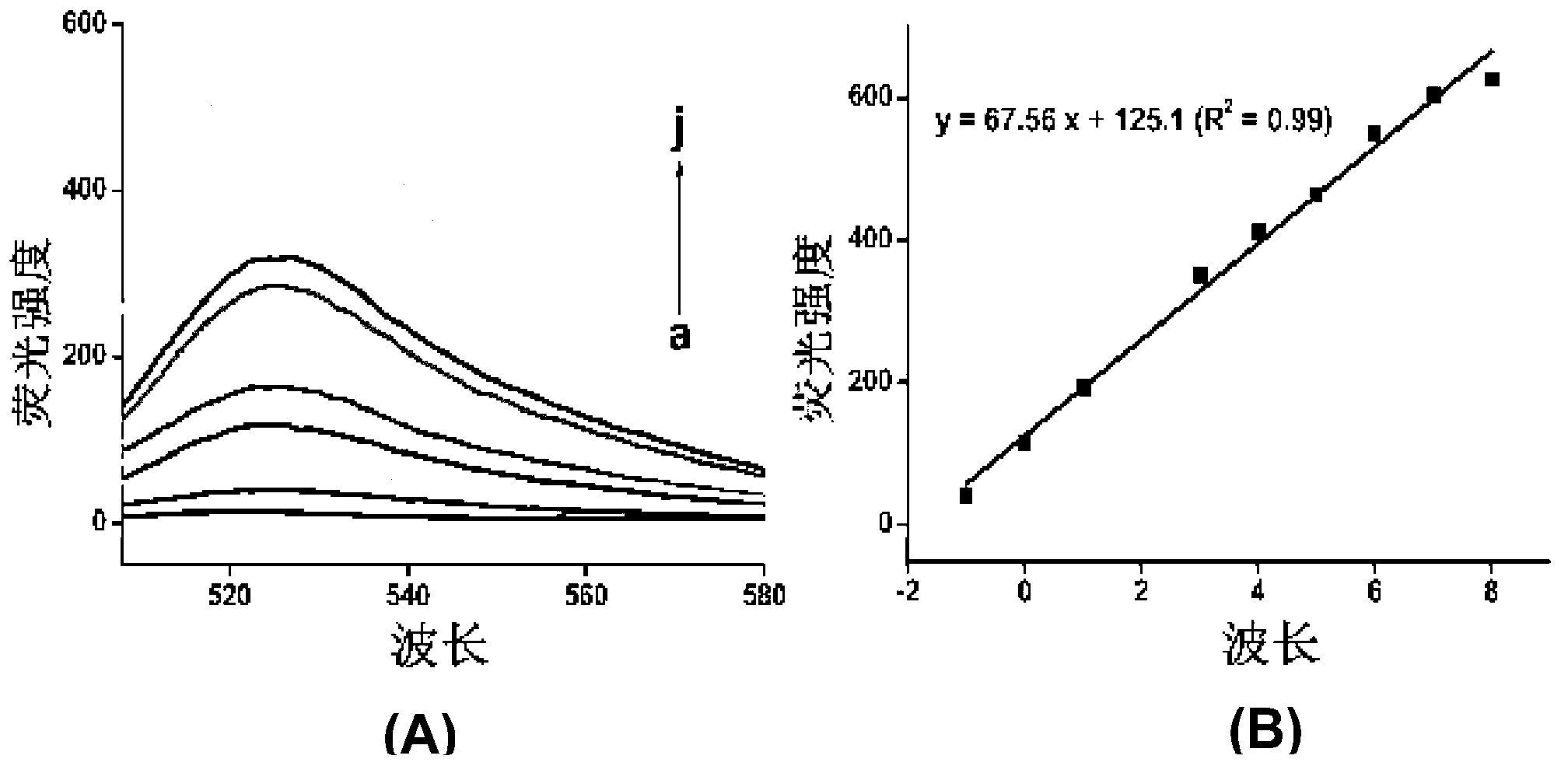 Non-enzymatic SNP detection method based on DNA self-assembly