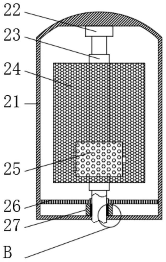 Day lily cleaning and impurity removing device